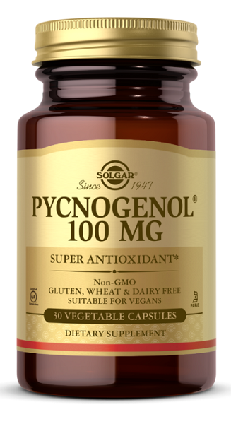 Um frasco de Solgar Pycnogenol 100 mg 30 cápsulas vegetais, que promove a saúde do cérebro.