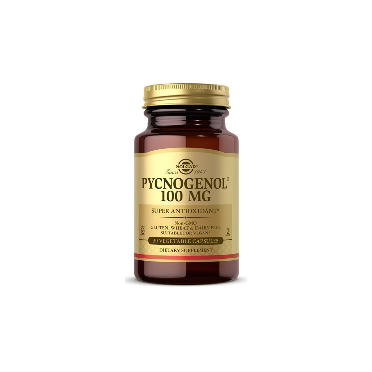 Um frasco de Solgar Pycnogenol 100 mg 30 cápsulas vegetais, que promove a saúde do sistema circulatório e do cérebro.