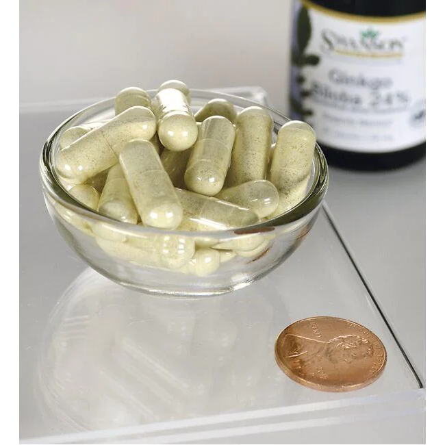 Ginkgo Biloba Extract 60 mg 30 Capsules