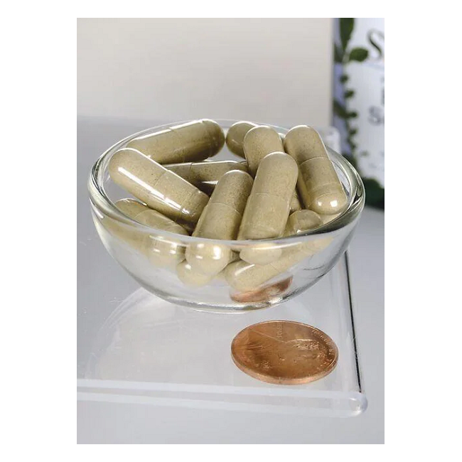 A clear bowl holds several brown capsules, likely Swanson's Butea Superba Root 400 mg 60 Capsules dietary supplement, beside a penny for size reference on a white surface.