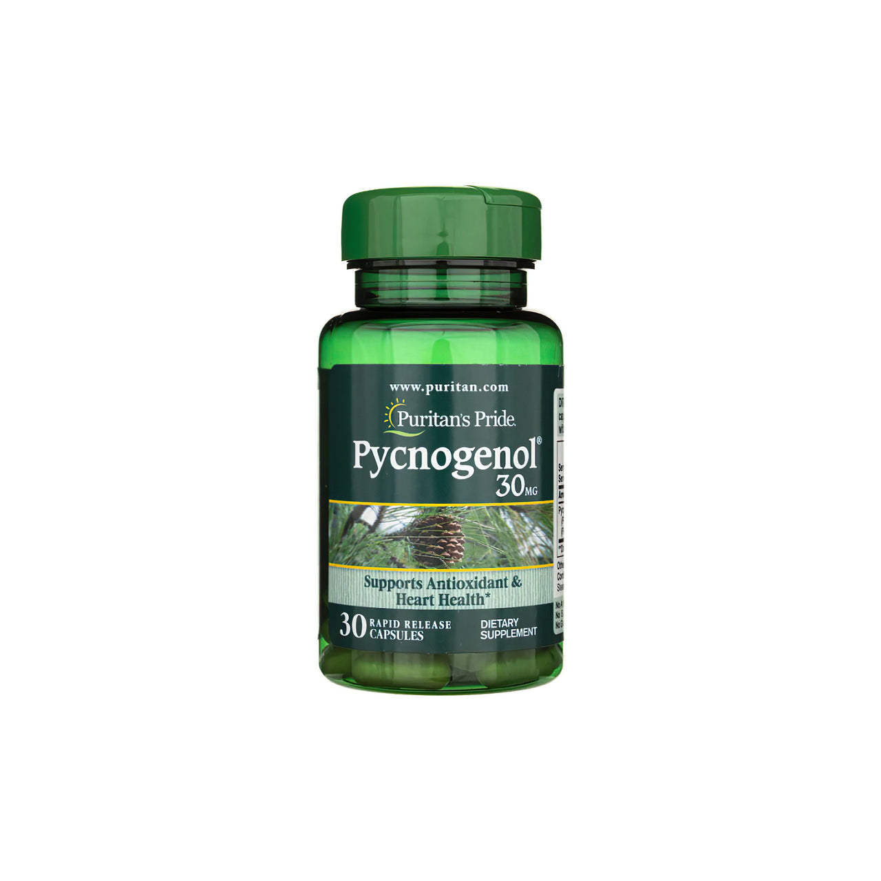 Um frasco de Pycnogenol 30 mg 30 Rapid Release Capsules com extrato de pinheiro-bravo francês de Puritan's Pride.