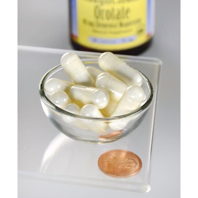 Orotato de magnésio - 40 mg 60 cápsulas de Swanson numa taça de vidro ao lado de uma moeda.